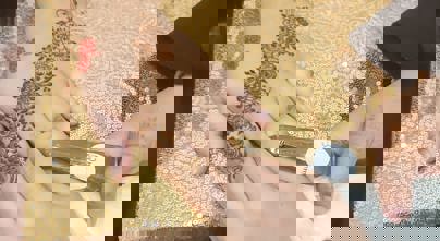 Roshni International Women's Day and Eid party 2026